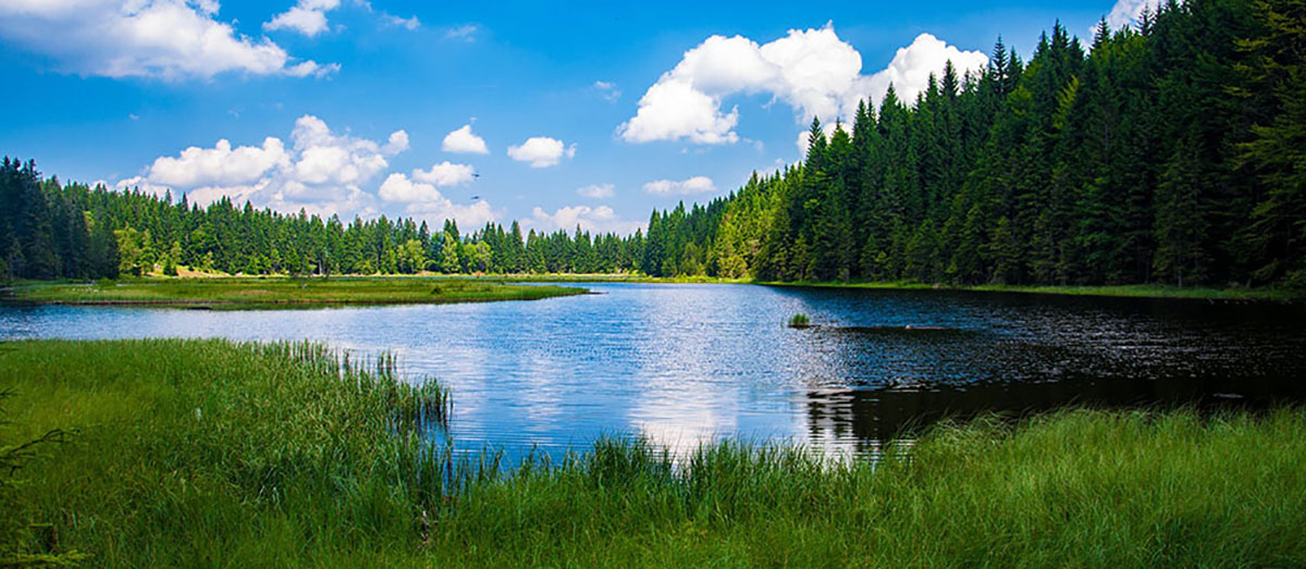 Get Your Lake